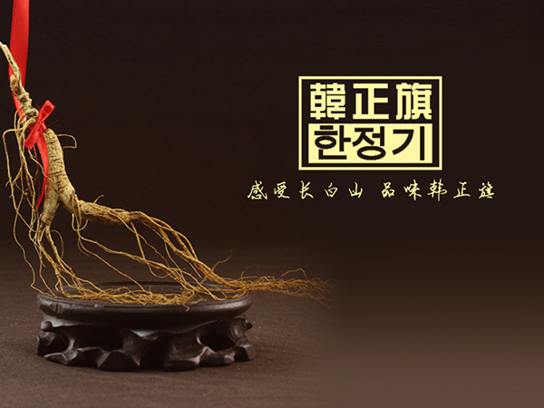 韩正旗
